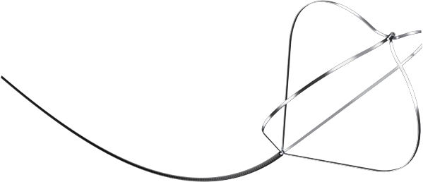 一次性使用内窥镜取石网篮（四丝型）-蜻蜓